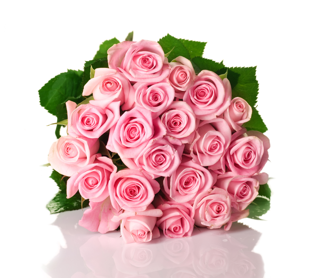 Elegant 20 Pink Roses Bouquet