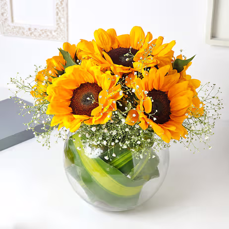 SunFlower Shine